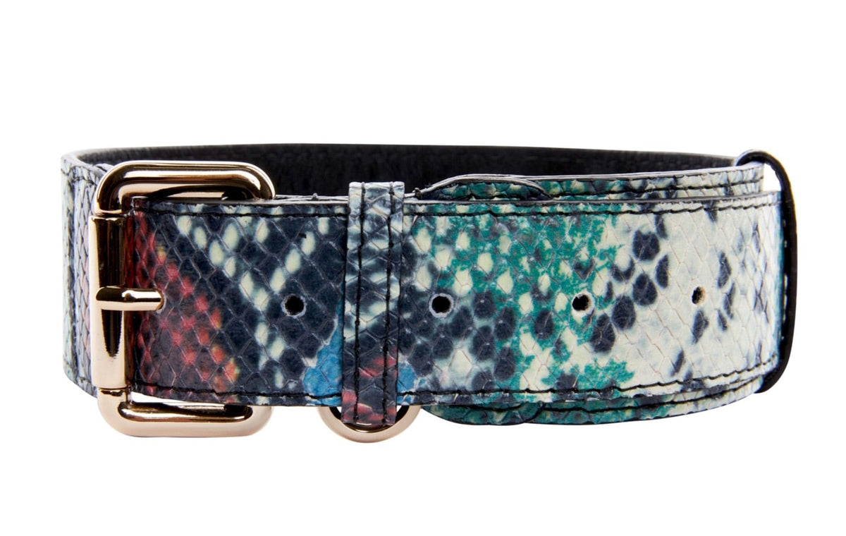 Green, Blue, Black, Red Embossed Snake Italian Leather Collar With Gold Classic Hardware