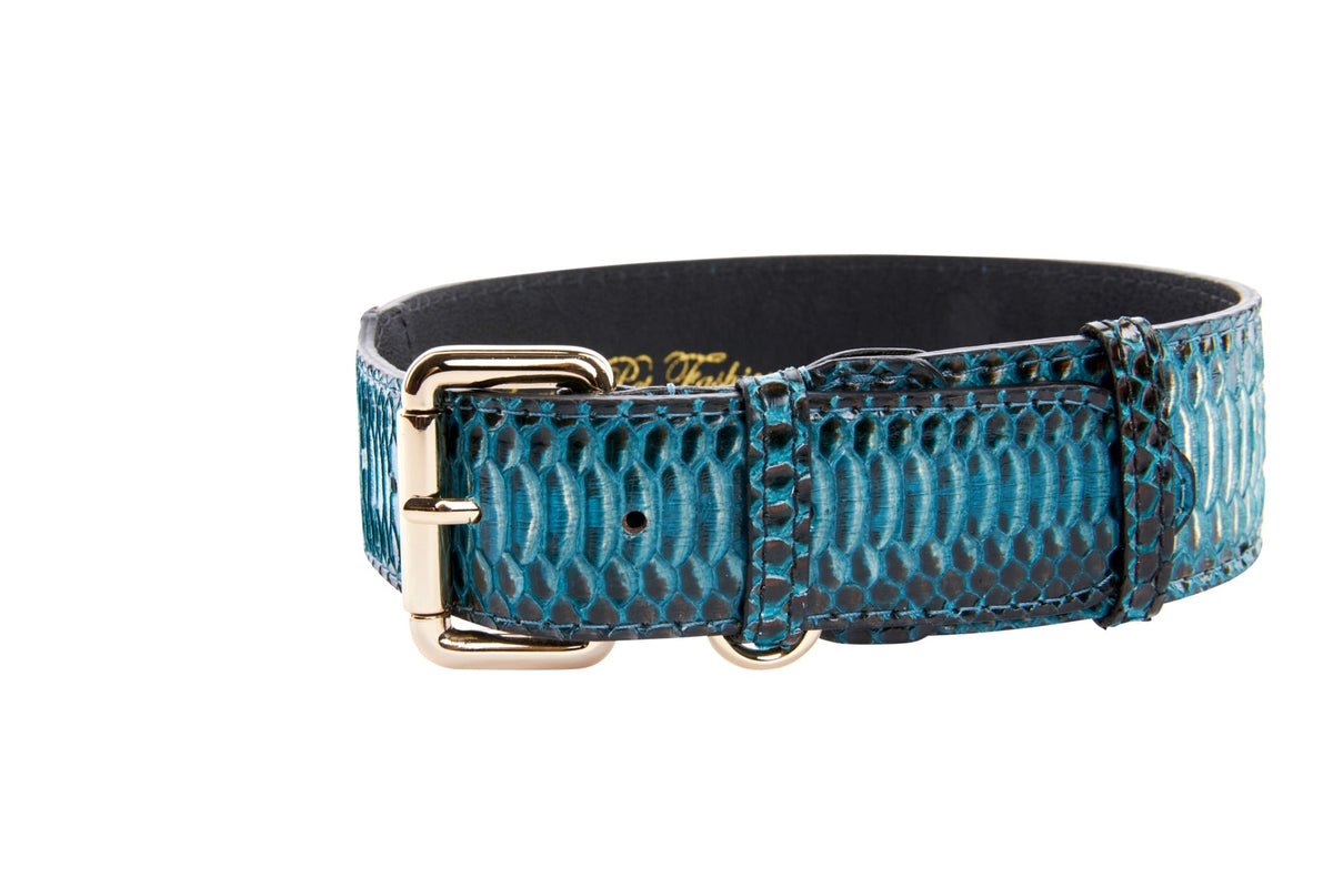 Turquoise, Black Snake Classic Collar With Silver & Gold Classic Hardware Set Of 2