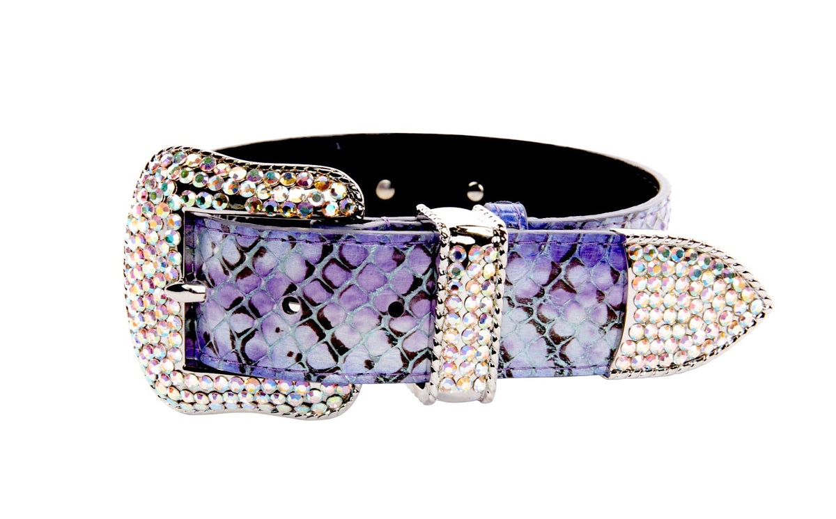 Purple/Silver/Black Custom Iridescent Snake/Swarovski Crystal Collar & Leash Set