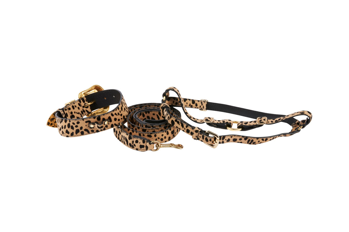 Classic Leopard Print Hair On Hide Italian Leather Swarovski Crystal Collar, Leash & Harness Set