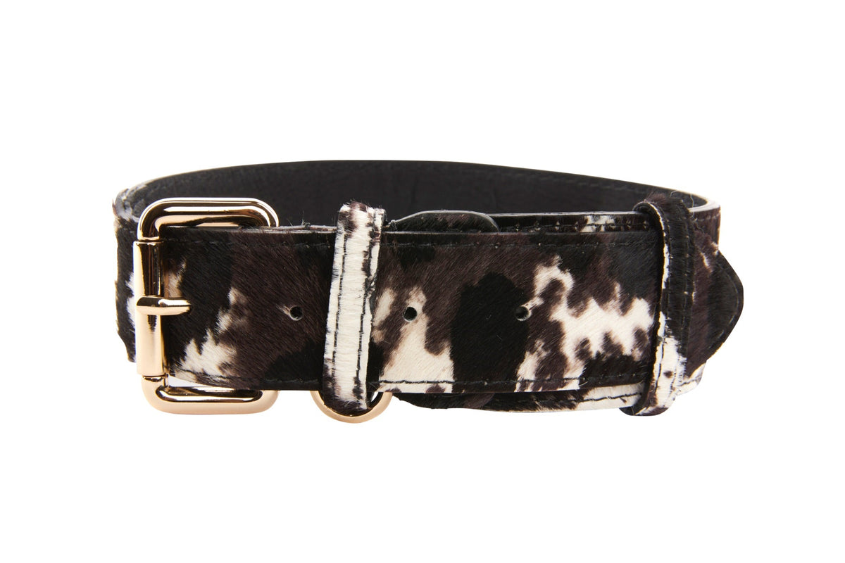 Brown, Black & White Hair On Hide Collar With Classic Gold Hardware