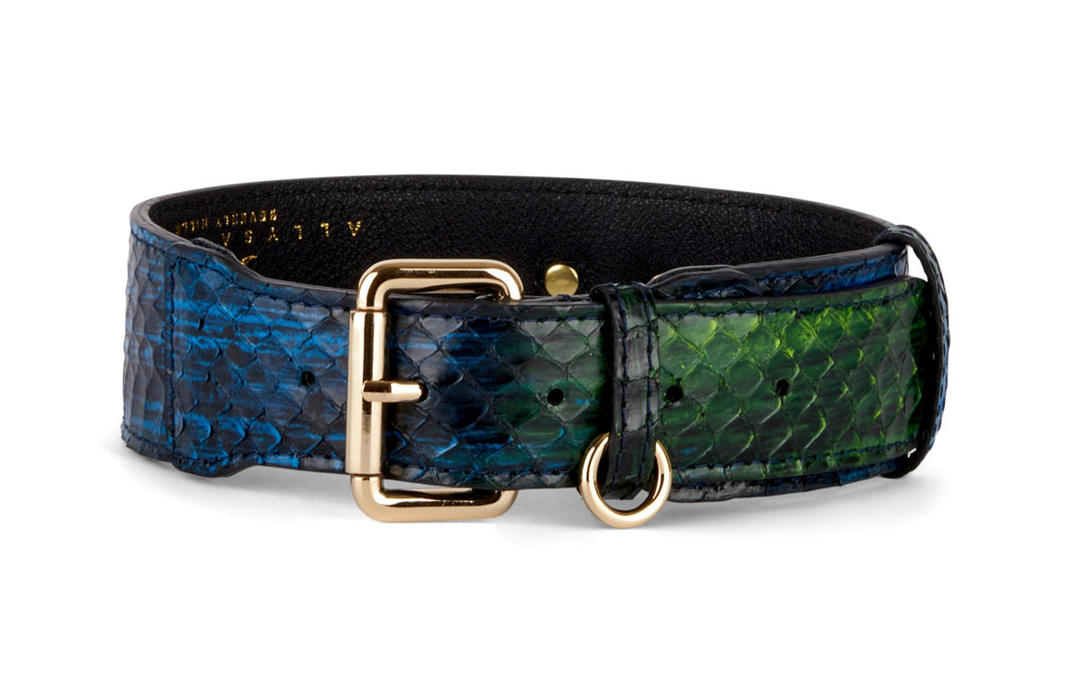 Blue, Green, Black, Yellow Snake Classic Collar