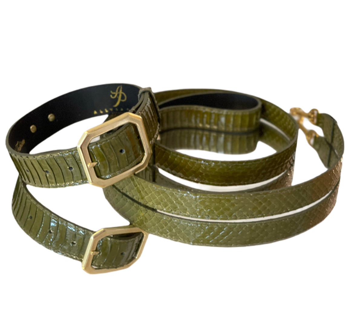 Luxury Pet Fashion Olive Snakeskin Collar & Leash Set
