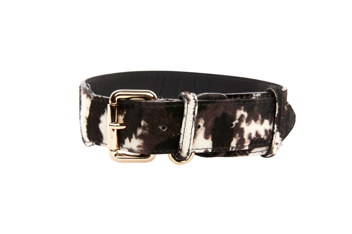 Brown, Black & White Hair On Hide Collar With Classic Gold Hardware