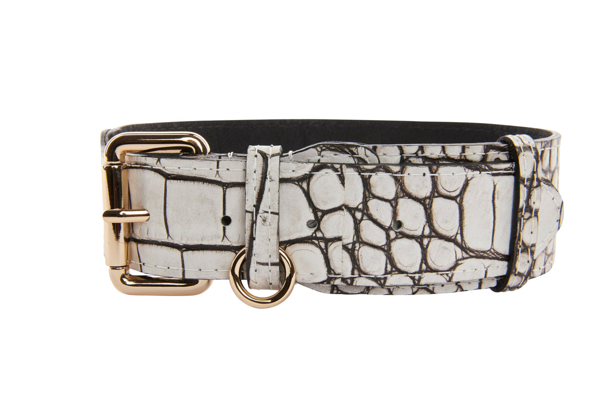 Dark Brown/Off White Embossed Croc Italian Leather Classic Collar With Gold Classic Hardware