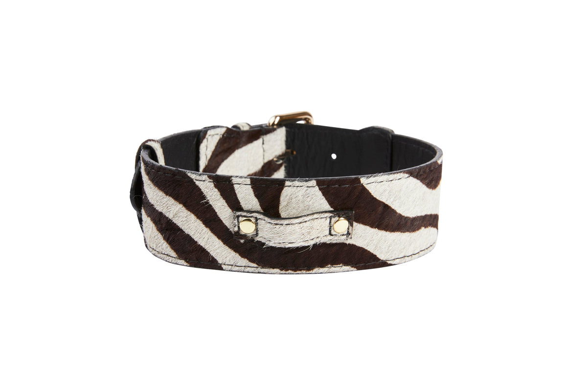 Distressed Brown & White Zebra Print Hair On Hide Classic Collar with Gold Classic Hardware