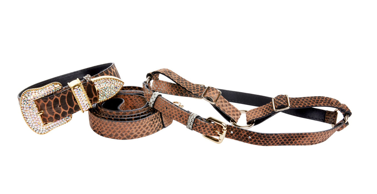 Brown/Black Embossed Snake Italian Leather Collar With Swarovski Crystal Hardware Leash & Harness Set