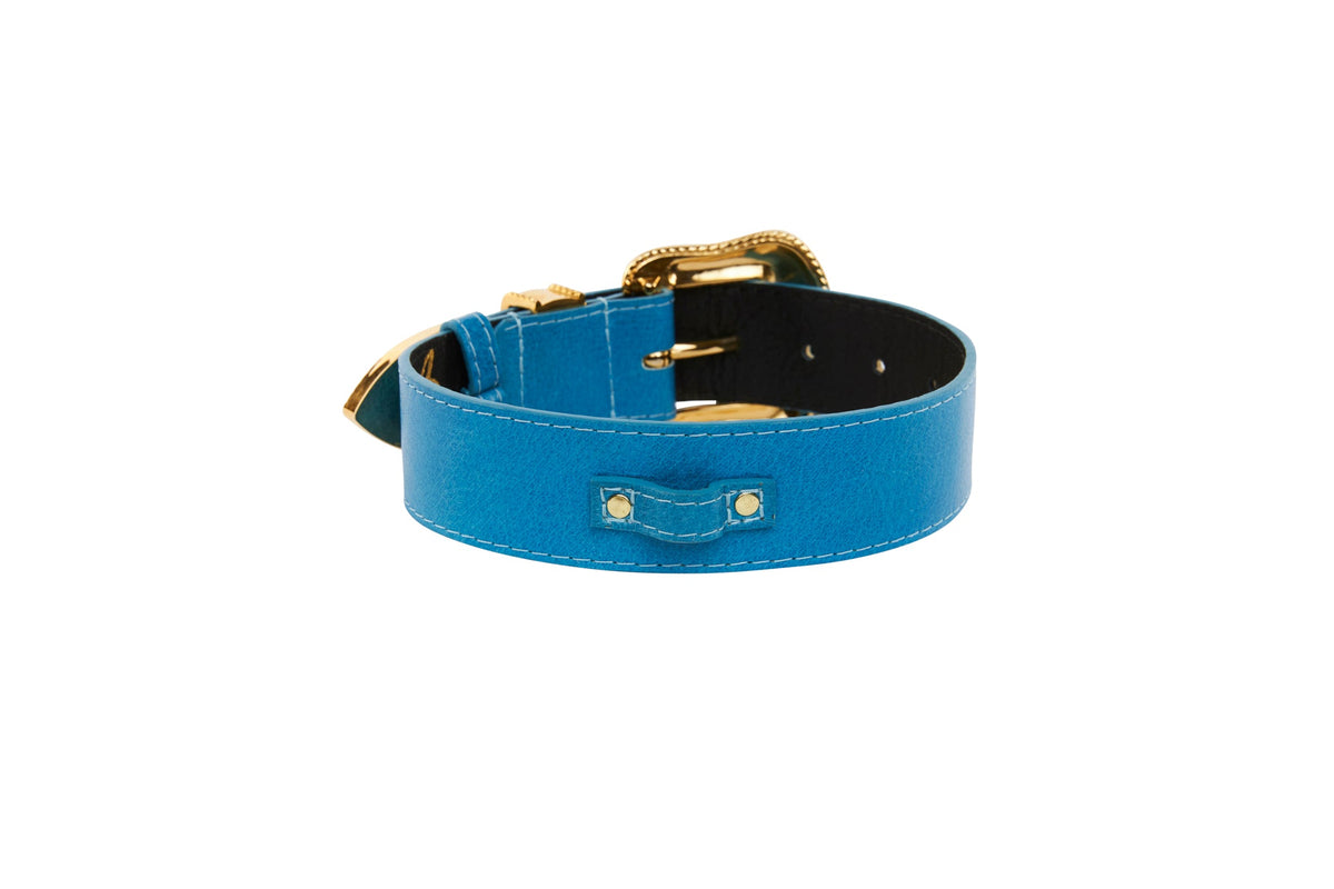 Vegetable Colored Italian Leather Collar With Gold Swarovski Crystal Hardware