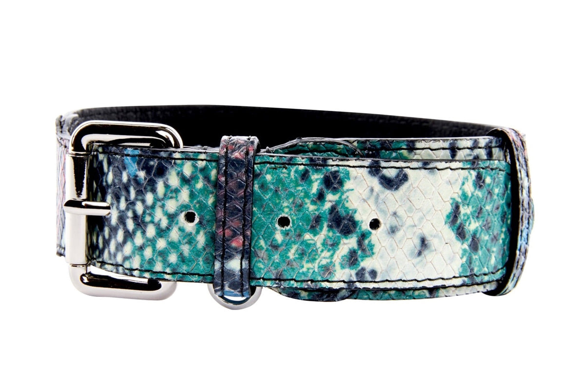 Green, Blue, Black, Red Embossed Snake Italian Leather Collar With Gold Classic Hardware