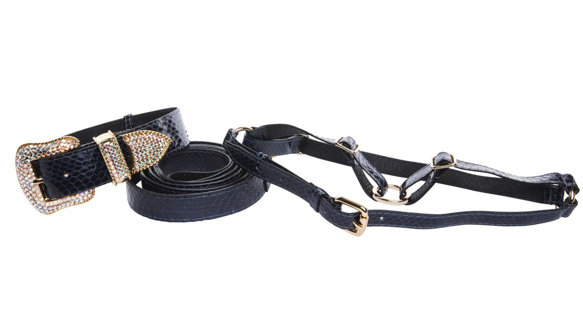 Navy Blue Snake Swarovski Crystal Hardware Collar, Leash, & Harness Set