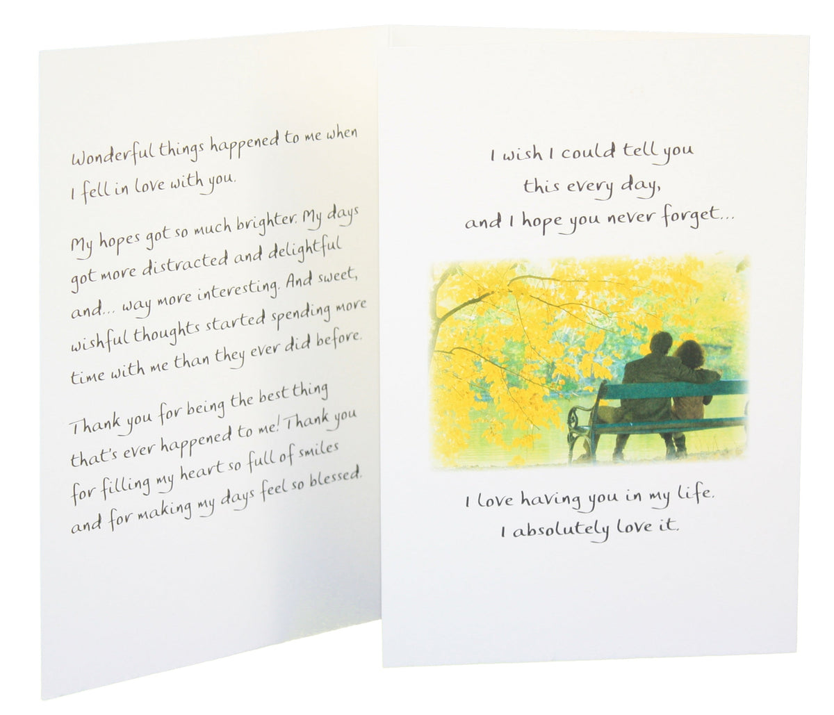 I Love You More than Words can Say Greeting Card
