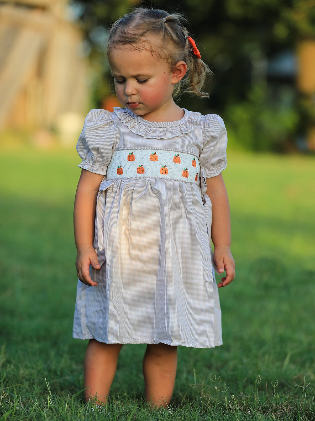 Fall Thanksgiving Pumpkin Embroidery Smock Plaid Girls Dress