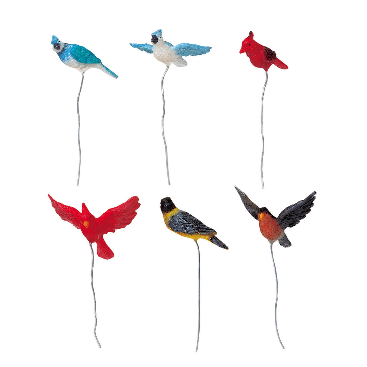 Backyard Birds - Set Of 6