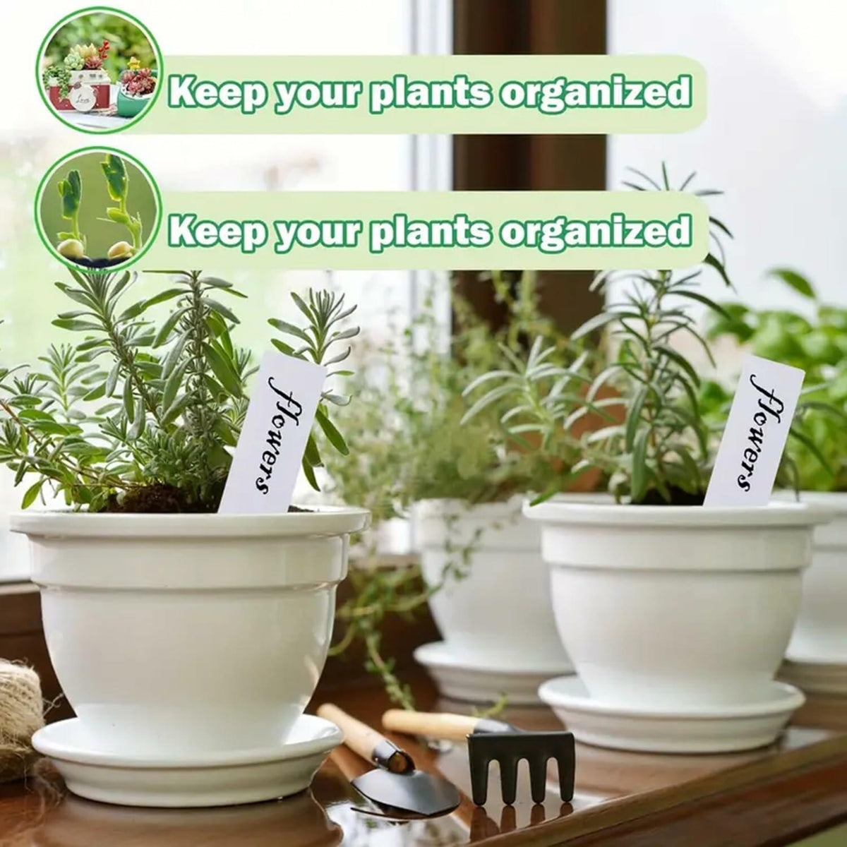 meumtuu 200 PCS Etiquetas de plástico blanco para plantas, marcadores de jardín de PVC PVCPL-200W