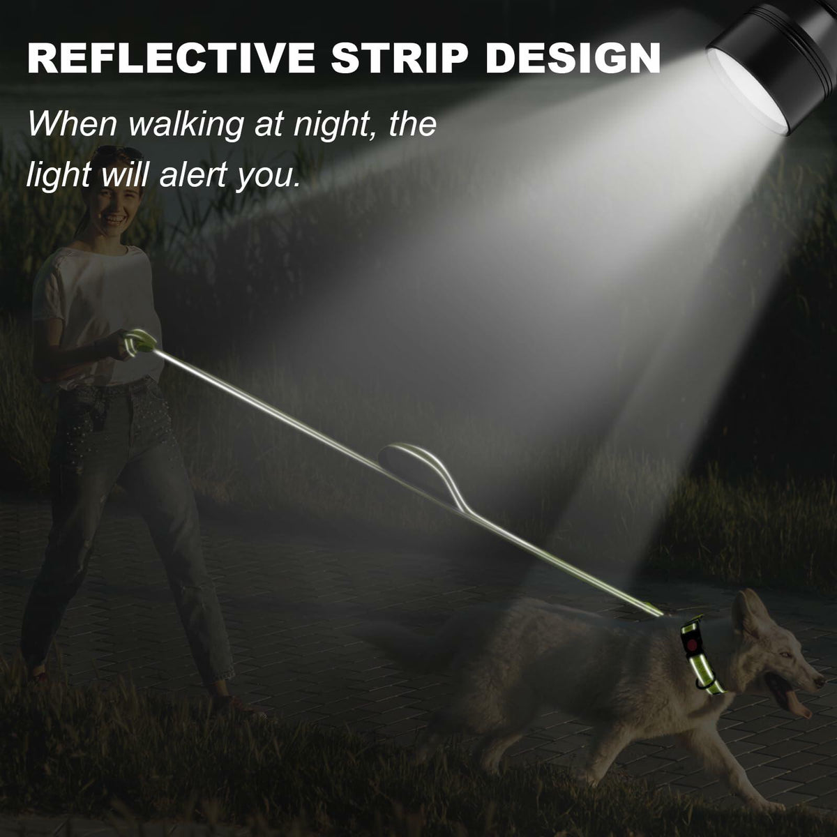 Correa para perro Htnlbqy, nailon reforzado, reflectante, 5 pies (1.5 m), verde brillante