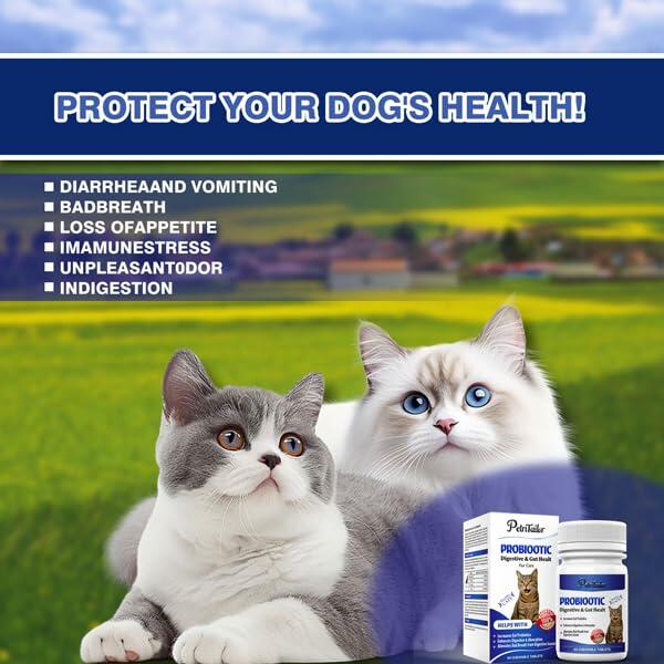 Probióticos PetriTailor Pro para gatos, enzimas digestivas, prebióticos, apoyo digestivo e inmunológico