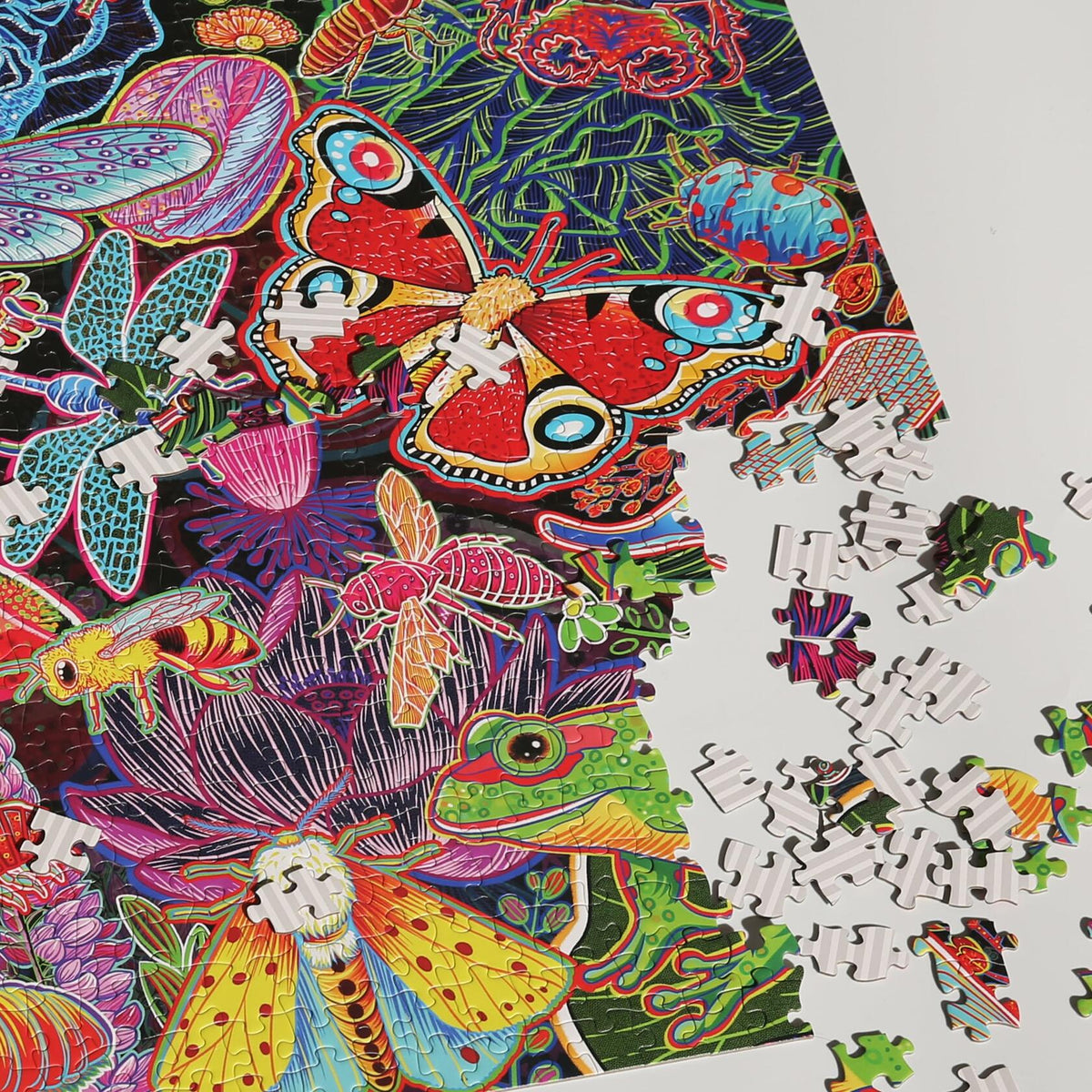 Rompecabezas Graphinee de 1000 piezas con insectos para jardín, juego familiar colorido