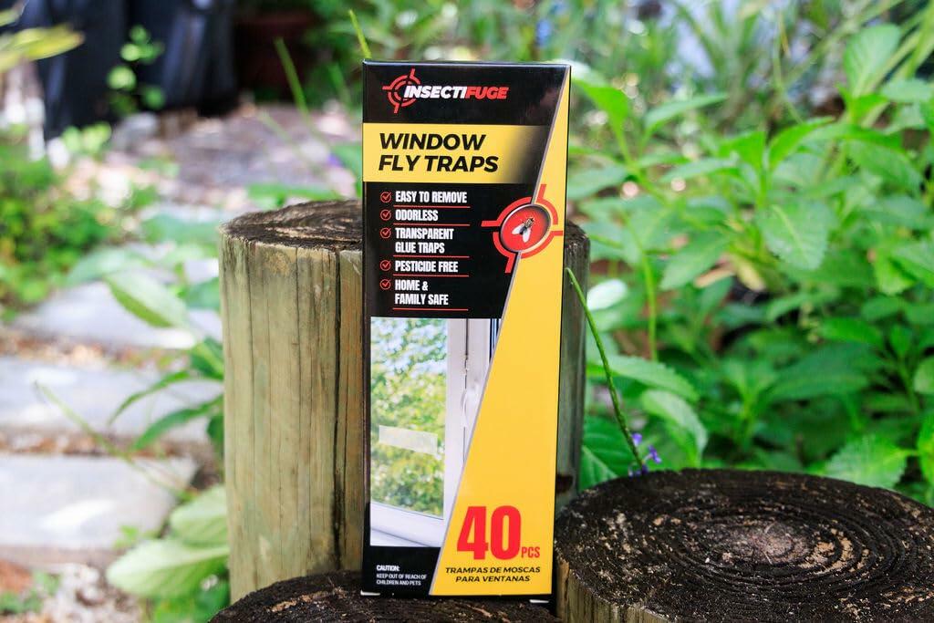 Insecticida 40 piezas trampas adhesivas blancas para moscas de la fruta para interiores, tiras para ventanas