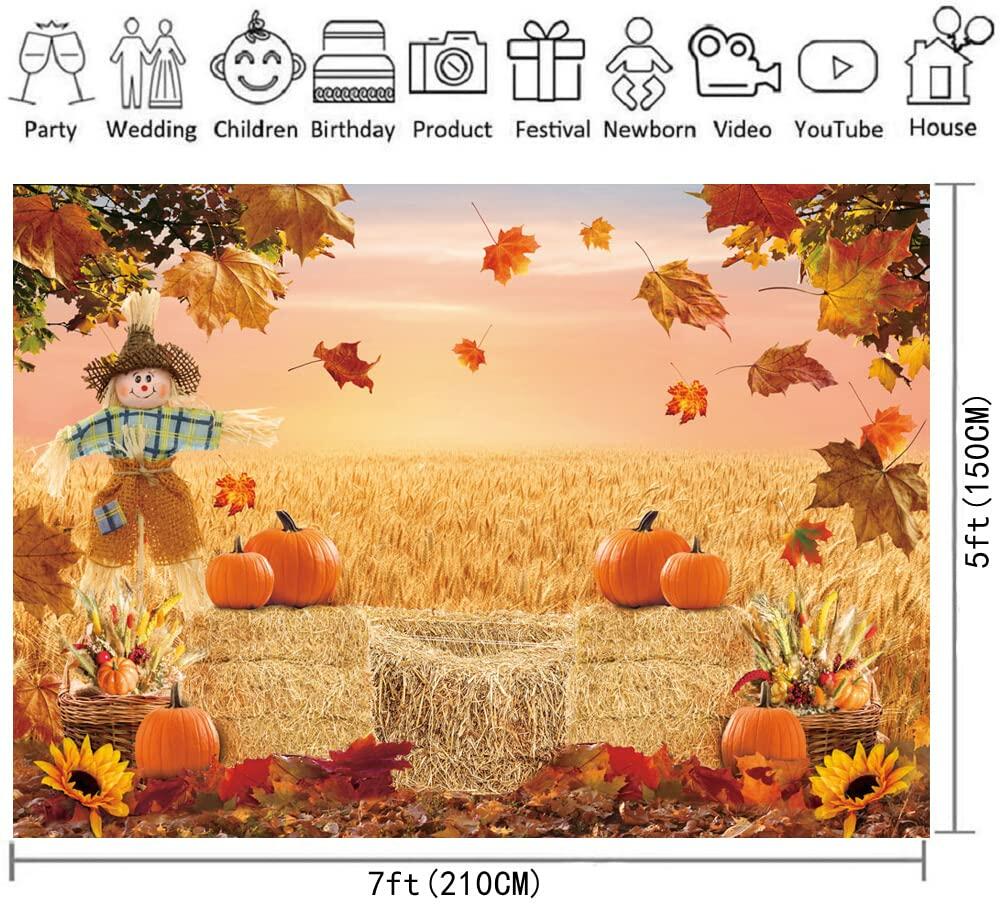 XCKALI Fondo de fotografía de otoño para Acción de Gracias, calabaza y hoja de arce, 7x5 pies
