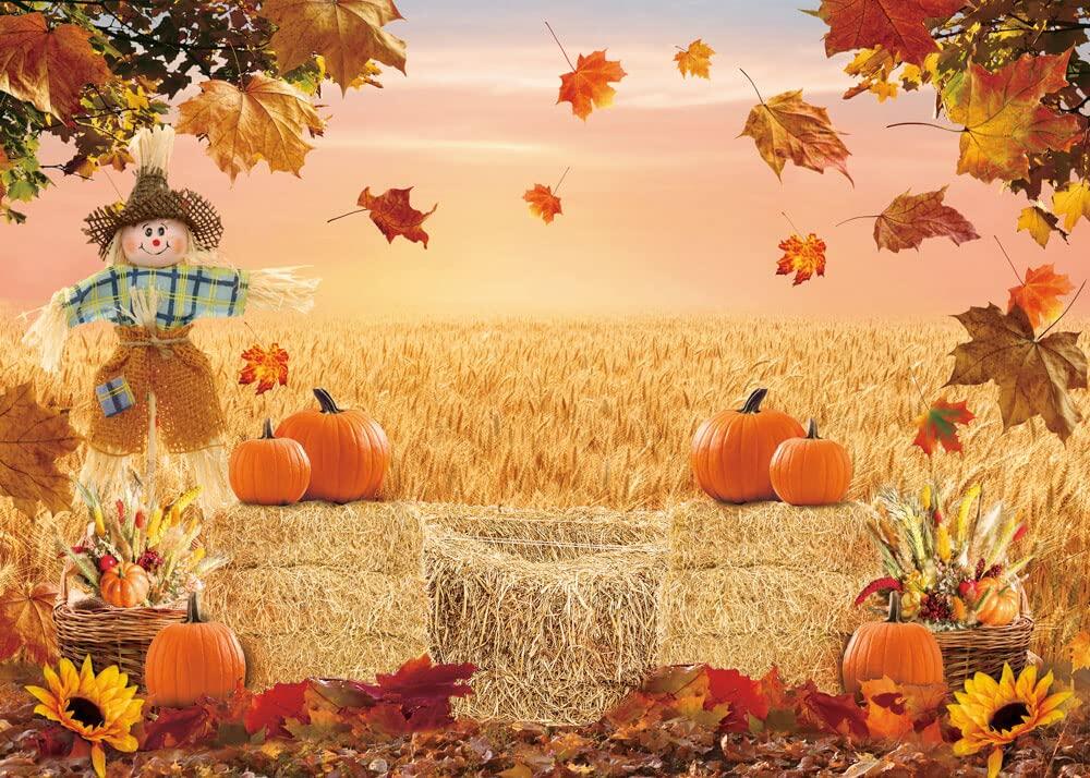 XCKALI Fondo de fotografía de otoño para Acción de Gracias, calabaza y hoja de arce, 7x5 pies
