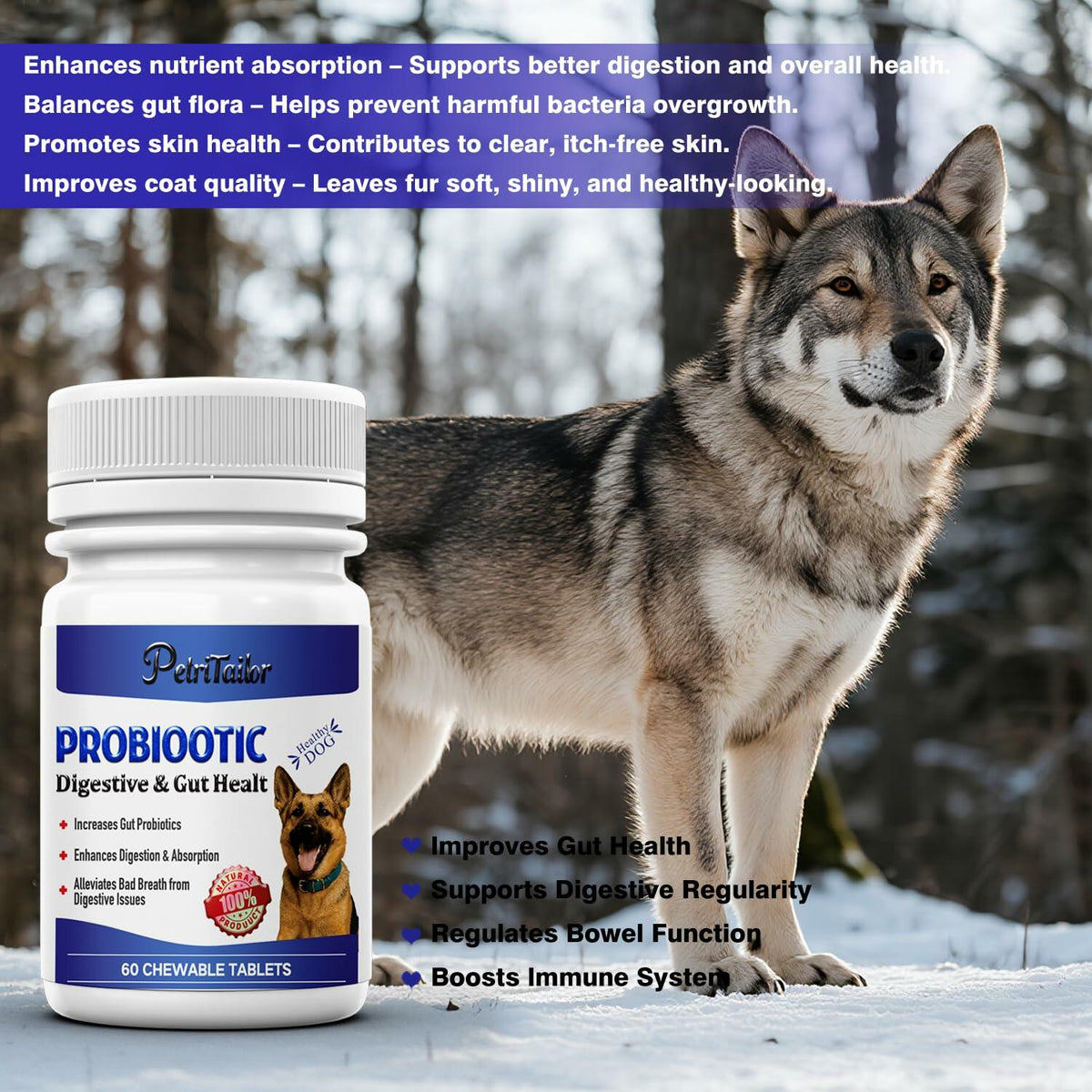 Suplemento probiótico PetriTailor Pro con enzimas digestivas y prebióticos para perros