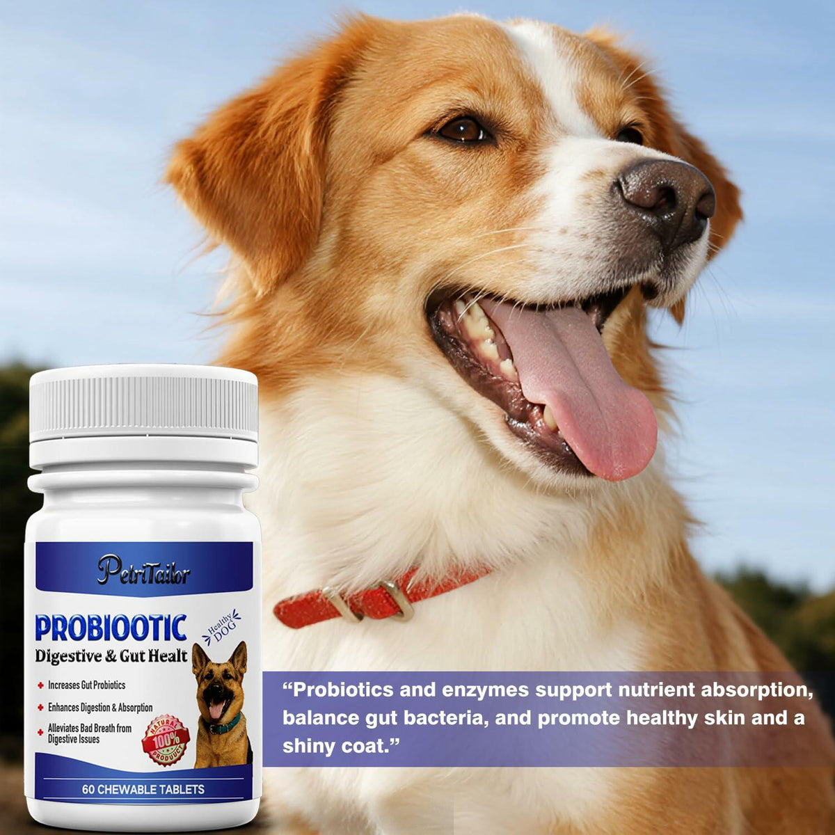 Suplemento probiótico PetriTailor Pro con enzimas digestivas y prebióticos para perros