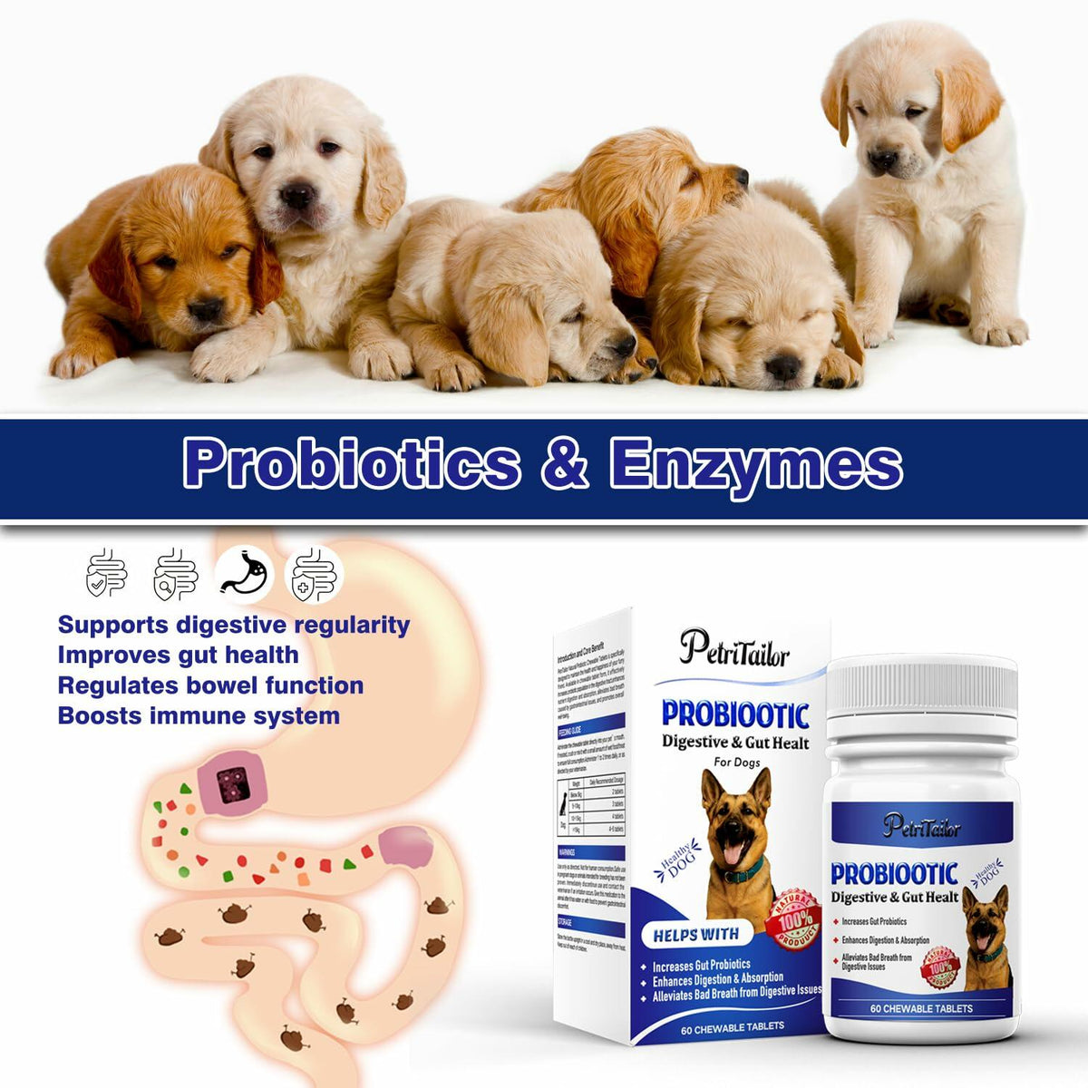 Suplemento probiótico PetriTailor Pro con enzimas digestivas y prebióticos para perros