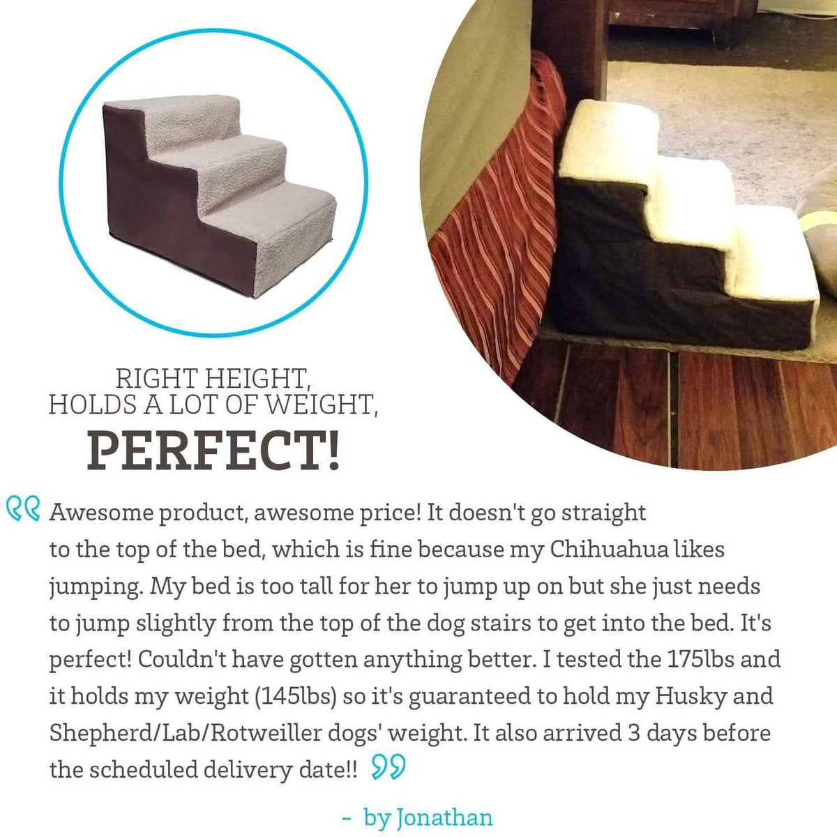 Paws & Pals Padded Pet Stairs