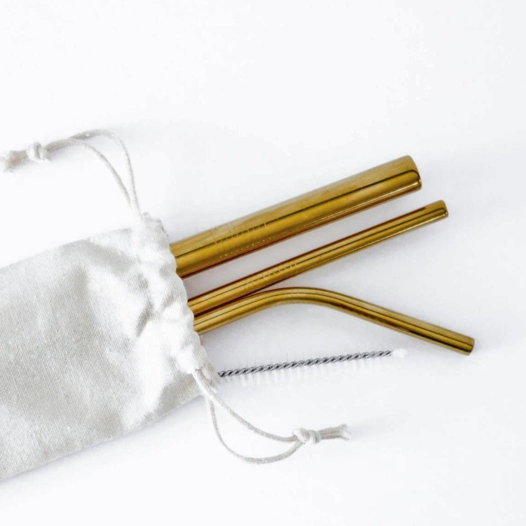 Stainless Steel Reusable Straw Set 5-Piece With Cleaner Bag Eco Dishwasher