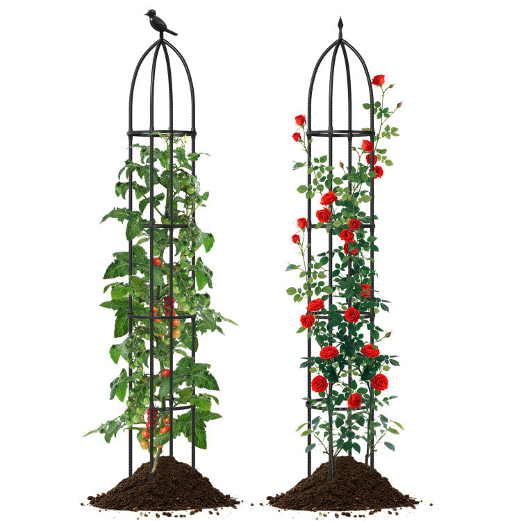 Metal Garden Arch and Obelisk Trellis Set for Climbing Plants