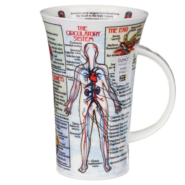 Taza de porcelana fina Body Works estilo Glencoe de Dunoon