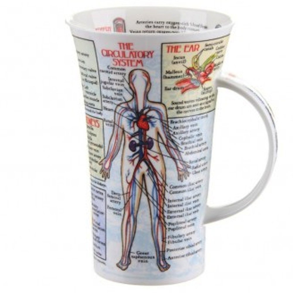 Taza de porcelana fina Body Works estilo Glencoe de Dunoon
