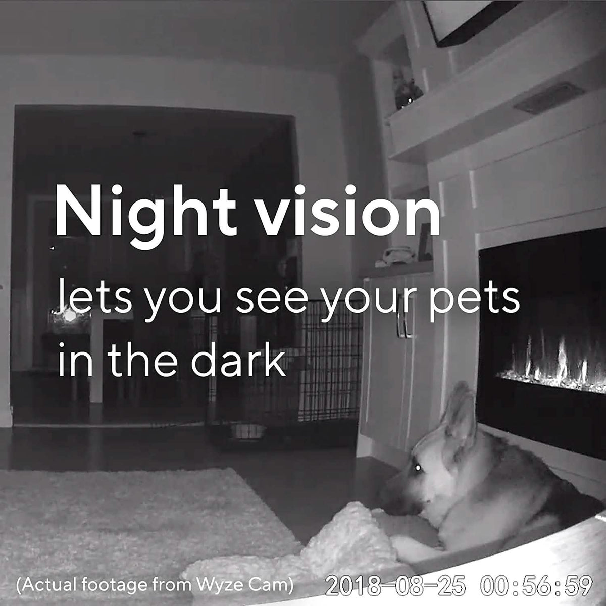 Wyze Cam V2 (Refurbished)