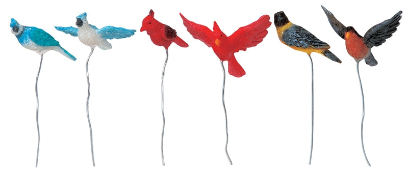 Backyard Birds - Set Of 6